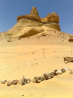 20070512072.jpg